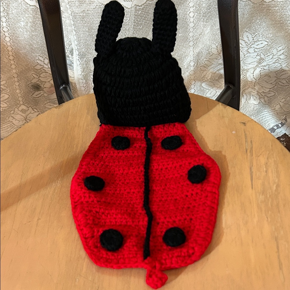 NWOT HandCrochet Ladybug Hat Backcover Baby Infant Nwbrn Outfit Costume Photo op